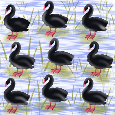   kuş, kuğu, hayvan, vektör, illüstrasyon, çizgi film, doğa, su, gaga, aşk, göl, ördek, siyah, tüy, siluet, kuşlar