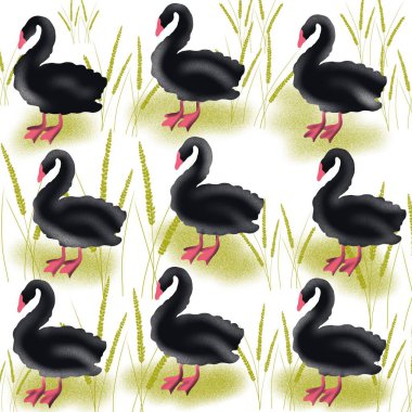 kuş, kuğu, hayvan, vektör, illüstrasyon, çizgi film, doğa, su, gaga, aşk, göl, ördek, siyah, tüy, siluet, kuşlar