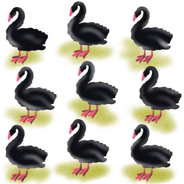 kuş, kuğu, hayvan, vektör, illüstrasyon, çizgi film, doğa, su, gaga, aşk, göl, ördek, siyah, tüy, siluet, kuşlar