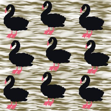 kuş, kuğu, hayvan, vektör, illüstrasyon, çizgi film, doğa, su, gaga, aşk, göl, ördek, siyah, tüy, siluet, kuşlar