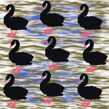   kuş, kuğu, hayvan, vektör, illüstrasyon, çizgi film, doğa, su, gaga, aşk, göl, ördek, siyah, tüy, siluet, kuşlar