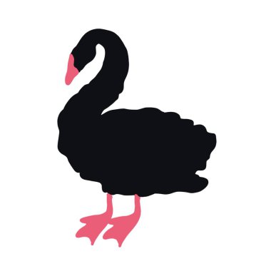   kuş, kuğu, hayvan, vektör, illüstrasyon, çizgi film, doğa, su, gaga, aşk, göl, ördek, siyah, tüy, siluet, kuşlar