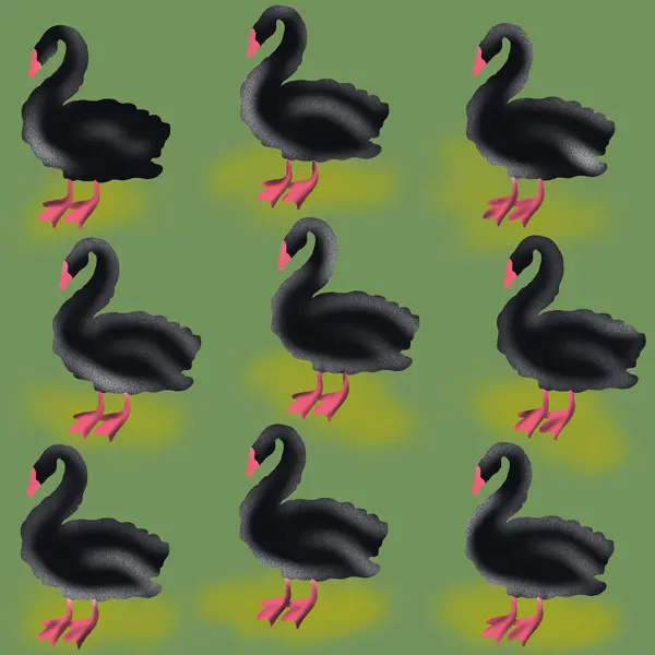 bird, swan, animal, vector, illustration, cartoon, nature, water, beak, love, lake, duck, black, feather, silhouette, birds