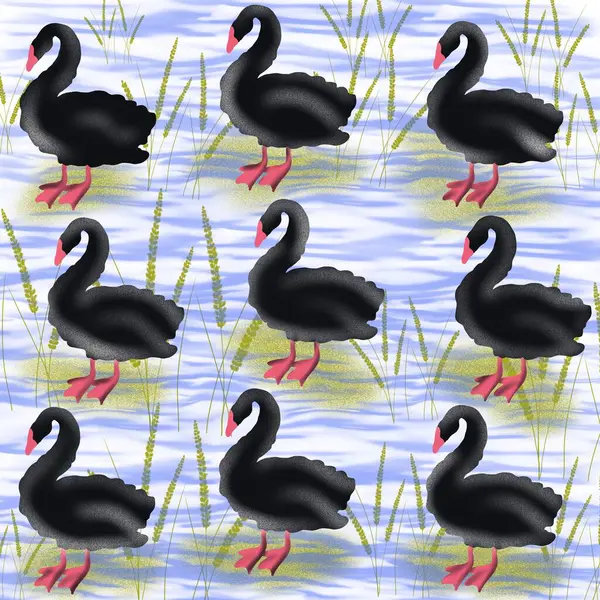   kuş, kuğu, hayvan, vektör, illüstrasyon, çizgi film, doğa, su, gaga, aşk, göl, ördek, siyah, tüy, siluet, kuşlar