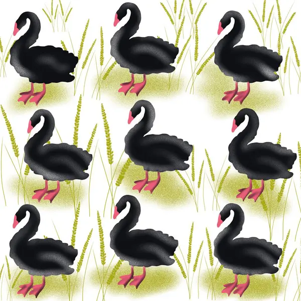 kuş, kuğu, hayvan, vektör, illüstrasyon, çizgi film, doğa, su, gaga, aşk, göl, ördek, siyah, tüy, siluet, kuşlar