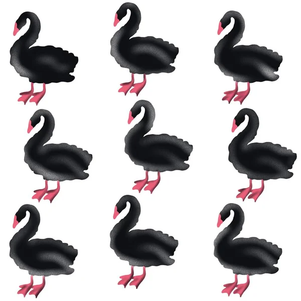 bird, swan, animal, vector, illustration, cartoon, nature, water, beak, love, lake, duck, black, feather, silhouette, birds