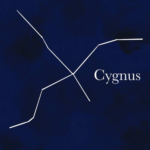 signs of the zodiac, constellations, celestial stars, starry sky, firmament, a set of stars in a certain order