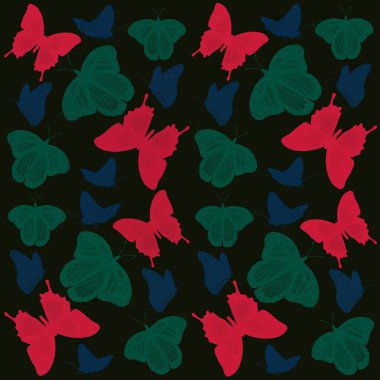   Kelebek, böcek, doğa, vektör, kelebekler, set, illüstrasyon, sinek, tasarım, yaz, koleksiyon, güzellik, bahar, kanatlar