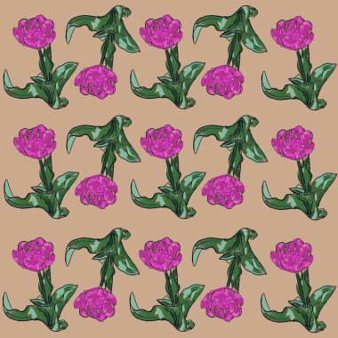 çiçek, lale, yalıtılmış, bahar, pembe, beyaz, doğa, çiçekler, kırmızı, yeşil, güzellik, çiçek, çiçek, çiçek, çiçek, çiçek, buket, güzel, mor