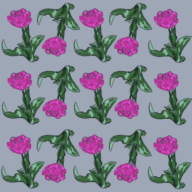 çiçek, lale, yalıtılmış, bahar, pembe, beyaz, doğa, çiçekler, kırmızı, yeşil, güzellik, çiçek, çiçek, çiçek, çiçek, çiçek, buket, güzel, mor