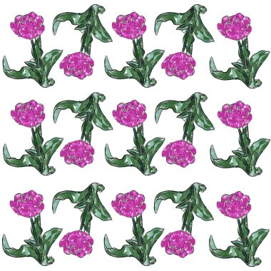 çiçek, lale, yalıtılmış, bahar, pembe, beyaz, doğa, çiçekler, kırmızı, yeşil, güzellik, çiçek, çiçek, çiçek, çiçek, çiçek, buket, güzel, mor