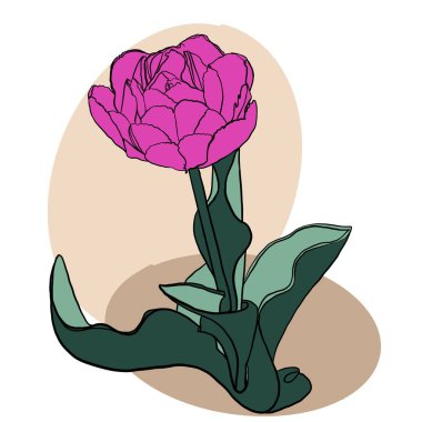 çiçek, gül, çiçek, vektör, doğa, çiçekler, yaprak, bitki, illüstrasyon, dekorasyon, sanat, çiçek, bahar, tasarım, yaz, pembe, desen, çizim