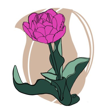 çiçek, gül, çiçek, vektör, doğa, çiçekler, yaprak, bitki, illüstrasyon, dekorasyon, sanat, çiçek, bahar, tasarım, yaz, pembe, desen, çizim