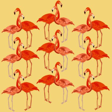Flamingo, kuş, pembe, hayvan, doğa, gaga, yaban hayatı, izole edilmiş, hayvanat bahçesi, tüy, hayvanlar, kırmızı, vektör, illüstrasyon, kuşlar, tropikal