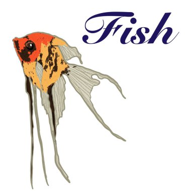   balık, akvaryum, gölet, okyanus, tropikal, egzotik, parlak çiçekler, yüzgeçler, pullar, su, göl balığı