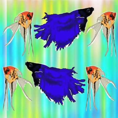   balık, akvaryum, gölet, okyanus, tropikal, egzotik, parlak çiçekler, yüzgeçler, pullar, su, göl balığı