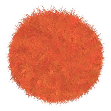   meyve, rambutan, kalp, çiçek, kırmızı, aşk, tropikal, izole edilmiş, doğa, saç, yemek, tüylü, kürk, dekorasyon