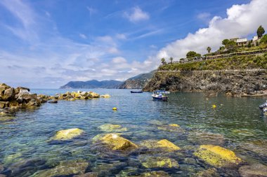 Manarola, Liguria, İtalya - 26 Mayıs 2024: Manarola Körfezi ve Mavili gökyüzüne karşı Aşk Yolu, Cinque Terre Ulusal Parkı.