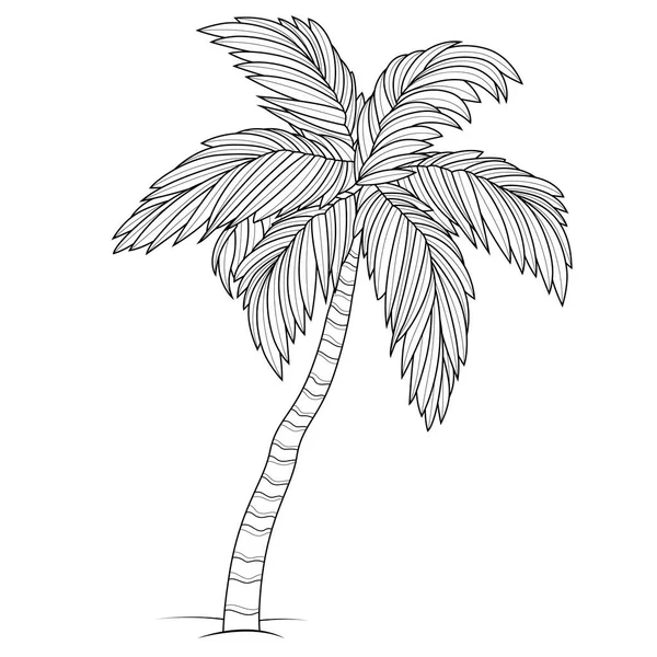 Palm Färgläggning Bok Antistress För Barn Och Vuxna Illustration Isolerad — Stock vektor