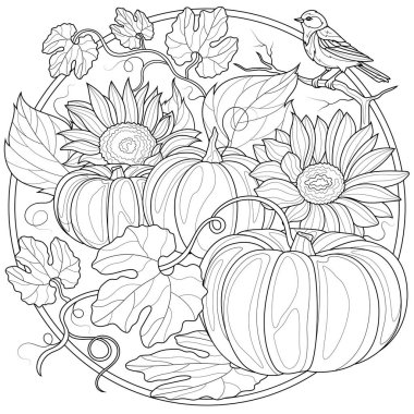 Balkabakları, ayçiçekleri ve bir kuş. Çocuklar ve yetişkinler için boyama kitabı antistresi..