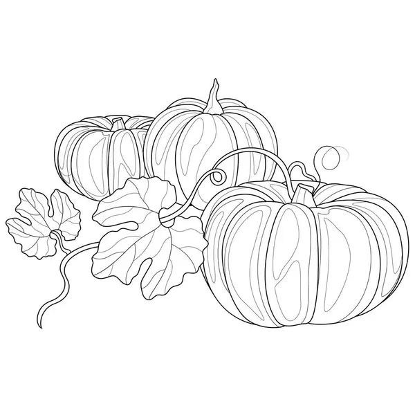 Pumpkins Coloring Book Antistress Children Adults Illustration Isolated White Background — Stock Vector
