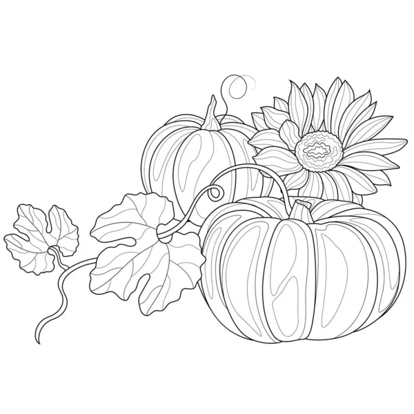 Pumpkins Sunflowers Coloring Book Antistress Children Adults Illustration Isolated White — Stock Vector