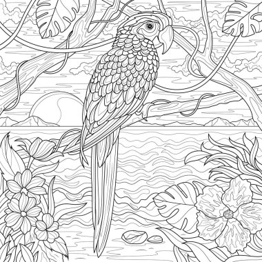 Parrot and tropical landscape. Coloring book antistress for children and adults. clipart