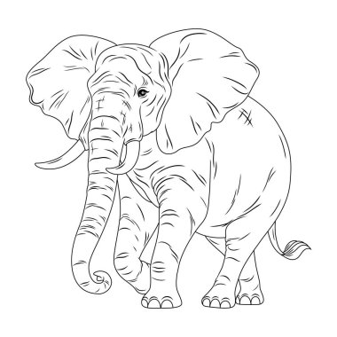 - Fil. Çocuklar ve yetişkinler için boyama kitabı antistresi.