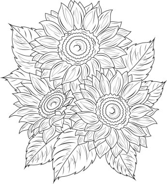 Ayçiçekleri. Çocuklar ve yetişkinler için boyama kitabı antistresi.
