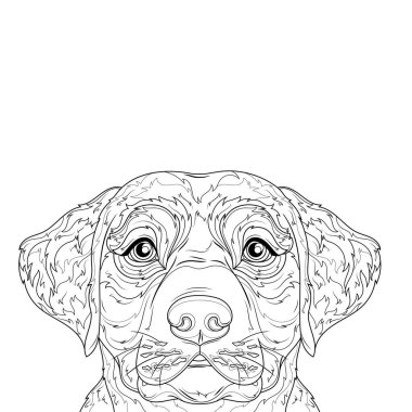 Labrador köpeği. Çocuklar ve yetişkinler için boyama kitabı antistresi.