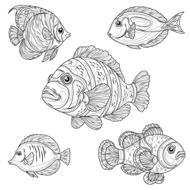 5 deniz balığı seti. Çocuklar ve yetişkinler için boyama kitabı antistresi.