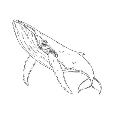 Doğrusal çizim balinası. Robot resim. Çocuklar ve yetişkinler için boyama kitabı antistresi.