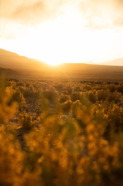 Dağlı gün doğumu ve dışarıdaki güzel manzara, bitkilerle doğal çevre, dağlarla güzel arka plan
