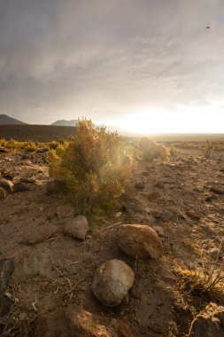 Açık hava, güneşli bir günde dağlar, ekosistem, insansız doğa, turistik yerler.