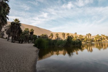 Palmiye ağaçları ve kumla çevrili bir göl manzarası, doğanın güzelliği, gündüz turistik yerler, doğal durumda çevre duvar kağıtları.