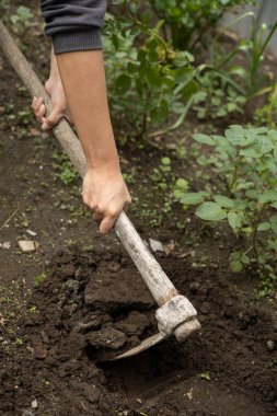 bir çapa, alan çalışması araçları, tarım ve çevre koruma, arazi detayları ile çalışmak