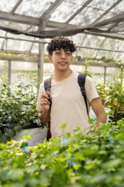 Bir çiftçi, tarım, tarım, doğa ve sürdürülebilir yaşam temaları için ideal, yemyeşil bir alanda bitkilerinin yanında gururla durur..