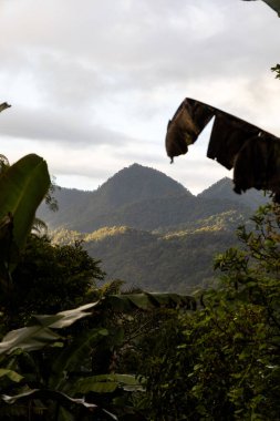 Tropikal orman tepelerinde sabah sisi yavaşça yükselir, günün ilk ışıklarını yakalar ve katmanlı yeşil manzaraya derinlik katar..