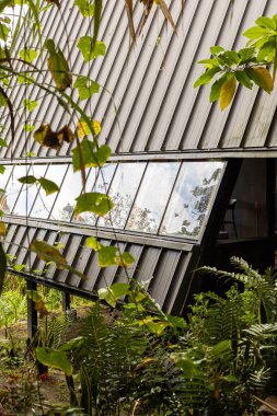 Bu mimari kabin, canlı bitki ve ağaçlarla çevrili gösterişli eğimli paneller ve geniş pencereler içeriyor ve modern yaşam ile doğal ortam arasında uyumlu bir denge oluşturuyor..