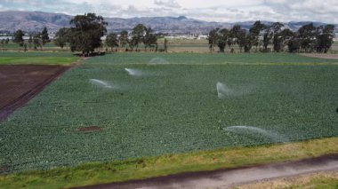 Parlak bir gökyüzü altında çalışan sulama fıskiyeleri ile geniş bir tarım alanının insansız hava aracı görüntüsü kırsal araziyi ve modern tarım uygulamalarını gözler önüne seriyor..