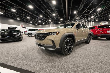 2023 Toledo Otomobil Fuarı 3 Şubat 2023 'te Toledo, Ohio' daki Glass City Center 'da.