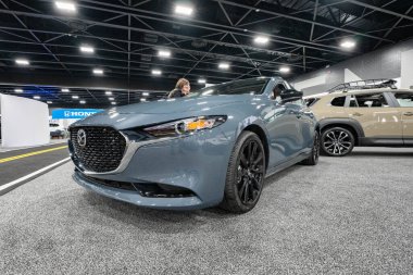 2023 Toledo Otomobil Fuarı 3 Şubat 2023 'te Toledo, Ohio' daki Glass City Center 'da.