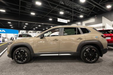 2023 Toledo Otomobil Fuarı 3 Şubat 2023 'te Toledo, Ohio' daki Glass City Center 'da.