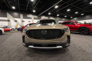 2023 Toledo Otomobil Fuarı 3 Şubat 2023 'te Toledo, Ohio' daki Glass City Center 'da.