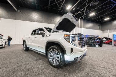 2023 Toledo Otomobil Fuarı 3 Şubat 2023 'te Toledo, Ohio' daki Glass City Center 'da.