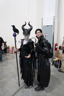 18 Mayıs 2024 'te Novi, Michigan' daki Suburban Collection Showplace 'de Motor City Comic Con