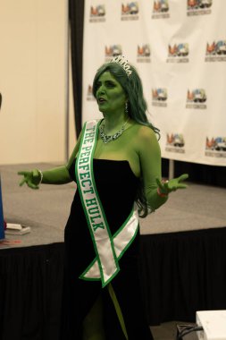 9 Kasım 2024 'te Novi, Michigan' da Suburban Collection Showplace 'de Motor City Comic Con