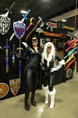 9 Kasım 2024 'te Novi, Michigan' da Suburban Collection Showplace 'de Motor City Comic Con