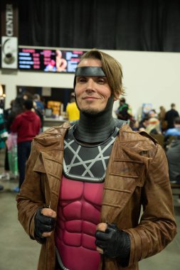 9 Kasım 2024 'te Novi, Michigan' da Suburban Collection Showplace 'de Motor City Comic Con