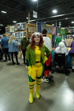 9 Kasım 2024 'te Novi, Michigan' da Suburban Collection Showplace 'de Motor City Comic Con